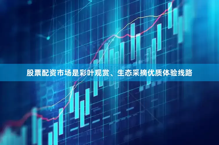 股票配资市场是彩叶观赏、生态采摘优质体验线路